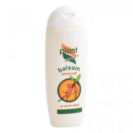 Balsam pentru Par cu Ulei de Catina Plant Activ, 200 ml cu comanda online