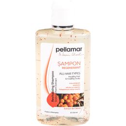 Sampon Regenerant Extract de Catina Pellamar, 250 ml cu comanda online