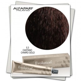 Vopsea Permanenta – Alfaparf Milano Evolution of the Color nuanta 5.3 Castano Chiaro Gold cu comanda online